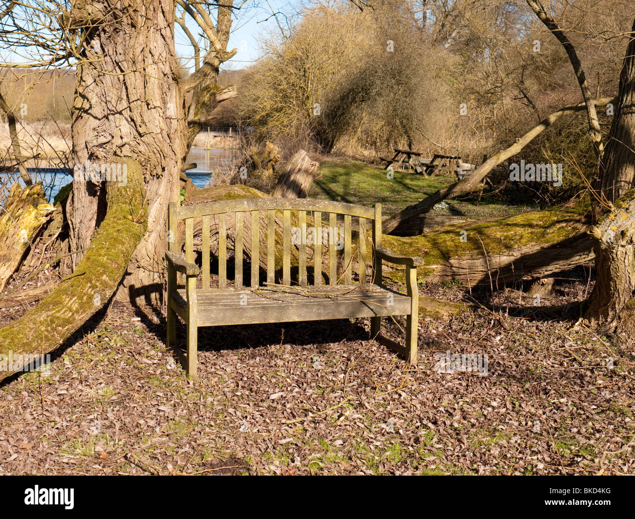 Sedile in legno dal fiume a scacchi in Valle di scacchi, Bucks, Regno Unito Foto Stock