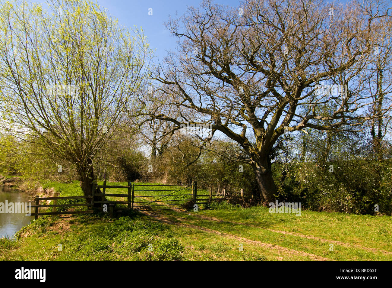 Un cancello attraverso un paese via sulla banca del fiume Cherwell in Oxfordshire, sole primaverile. Foto Stock