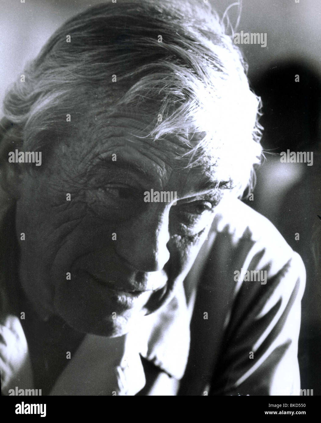 JOHN HUSTON (DIR) ritratto Foto Stock