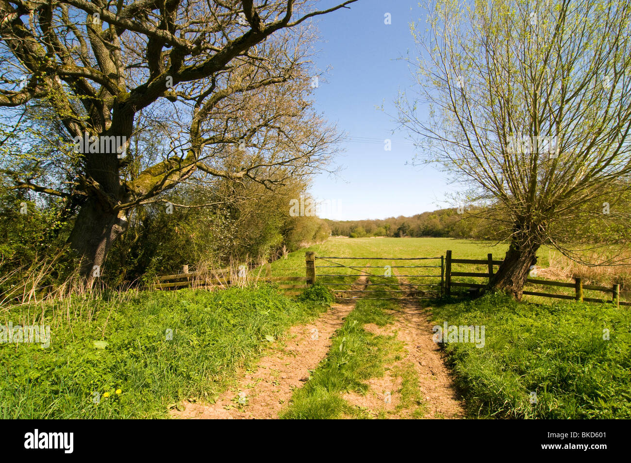 Un cancello attraverso un paese via sulla banca del fiume Cherwell in Oxfordshire, sole primaverile. Foto Stock