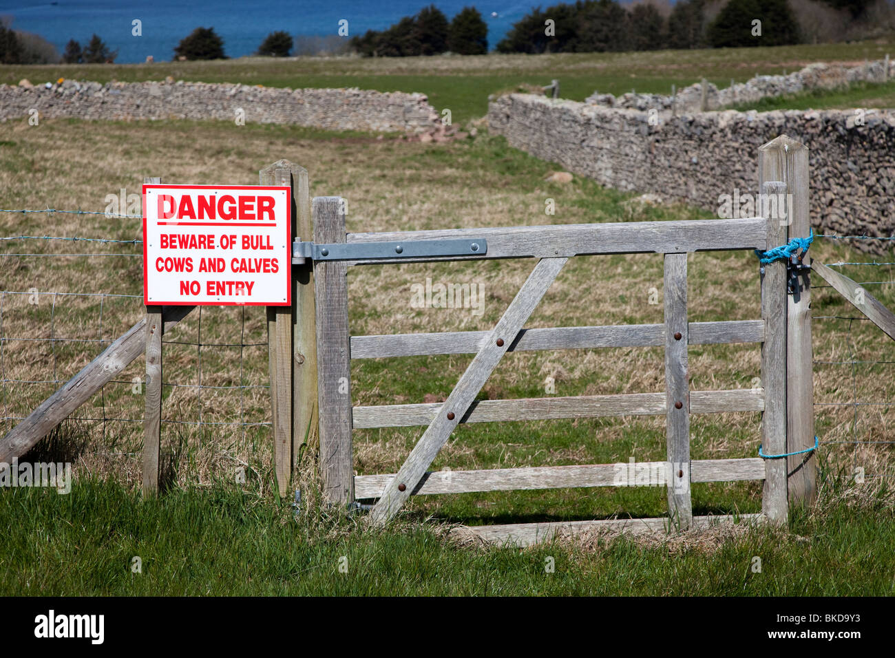 Attenzione pericolo di bull vacche e vitelli non entrata segno sulla gate isola di Caldey Wales UK Foto Stock