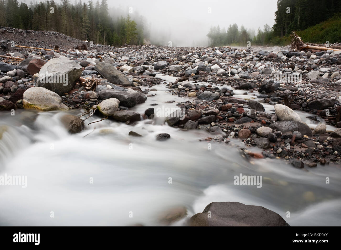 I detriti rocciosi del bacino del fiume Nisqually che fluisce dalla fusione del ghiacciaio del Monte Rainier, Washington Foto Stock