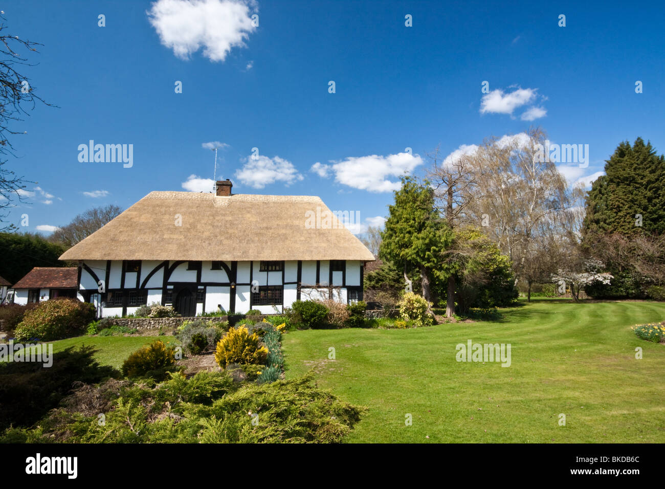 Cottage con il tetto di paglia nel pittoresco villaggio di Smarden Kent Foto Stock