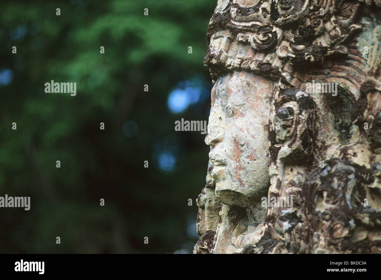 Honduras, Copan rovine Maya, Stela H, Main Plaza, faccia di 18 Coniglio, xiii righello. Foto Stock