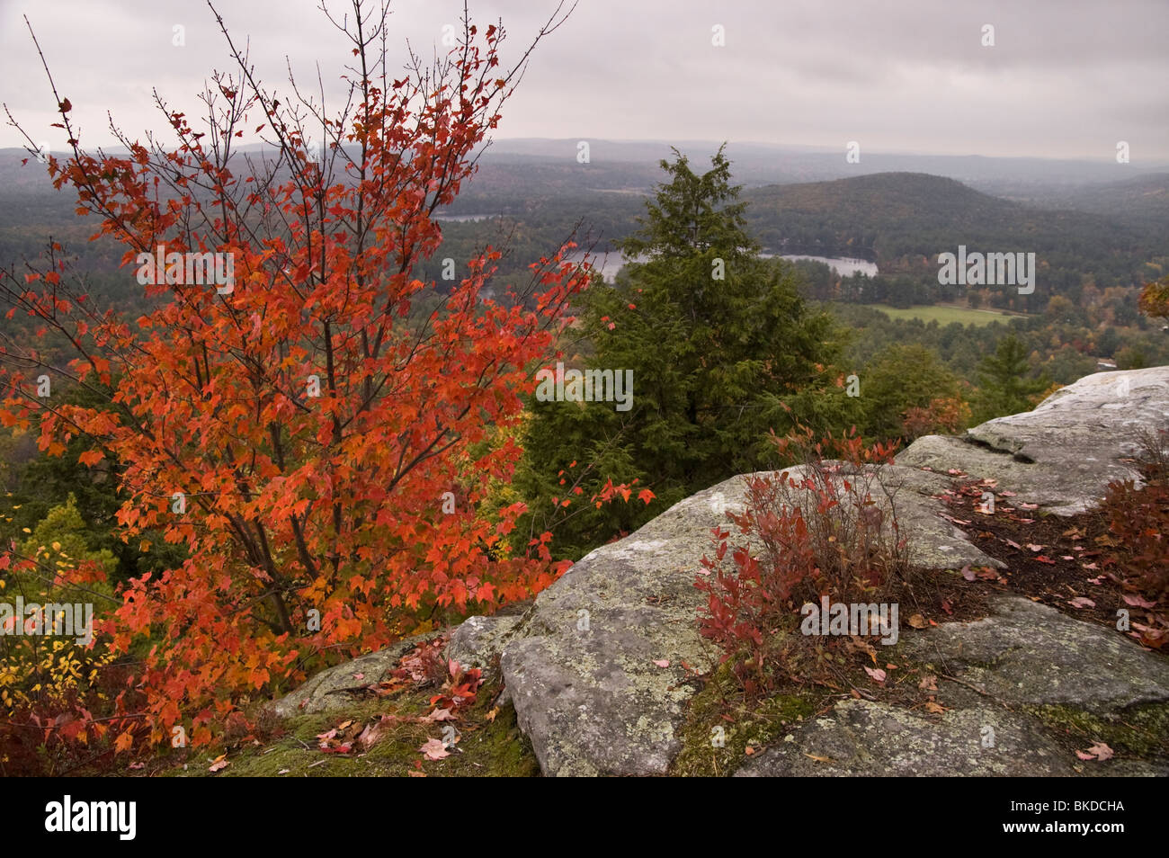 Vista dalla cima del monte Tully, affacciato sul lago Tully, arancio, Massachusetts Foto Stock