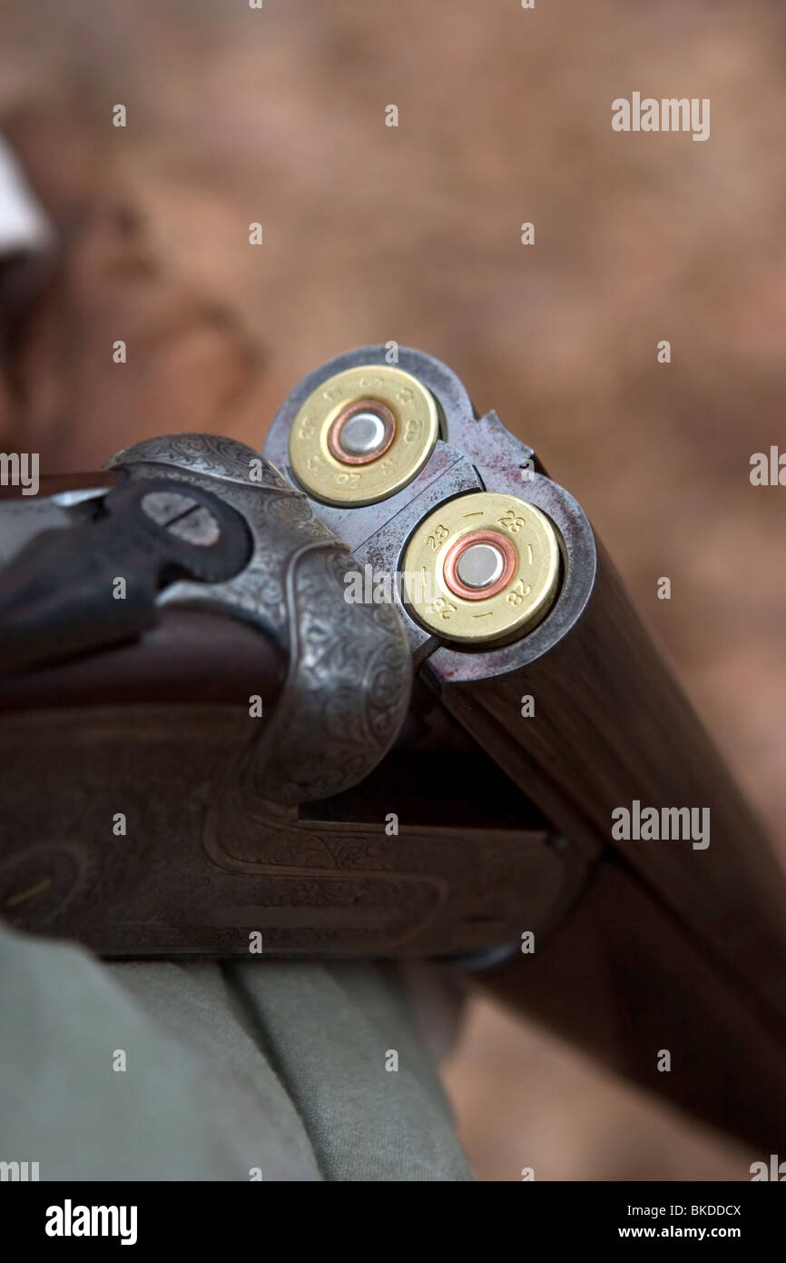 Close-up di un doppio-barrell fucile dopo essere stato caricato. Foto Stock