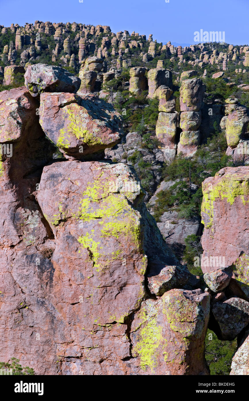 Innumerevoli lichen coperto pinnacoli di roccia si ergono nel Canyon di riolite e Arizona remote Chiricahua National Monument. Foto Stock