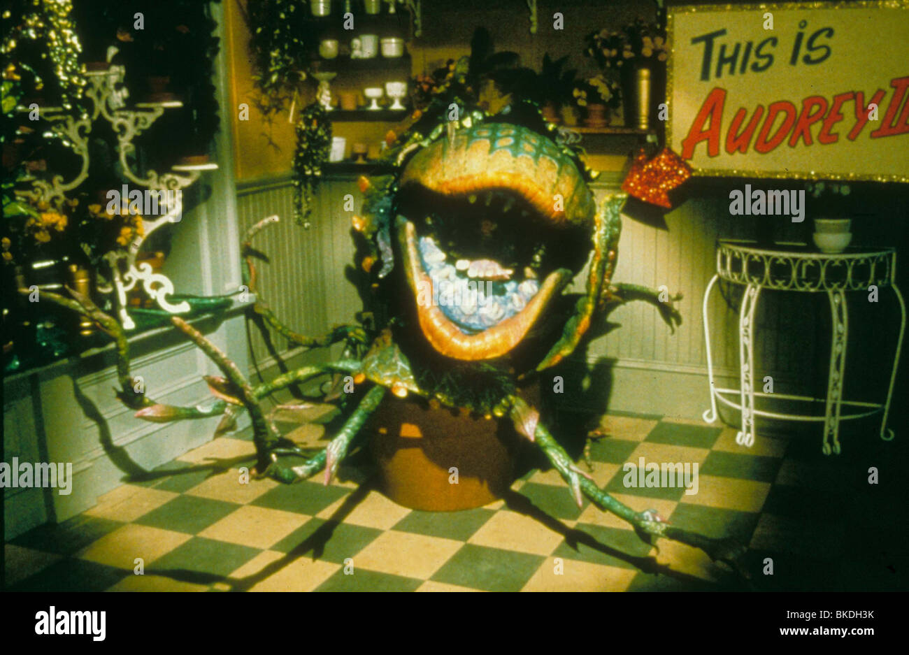 LITTLE Shop of Horrors -1986 Foto Stock