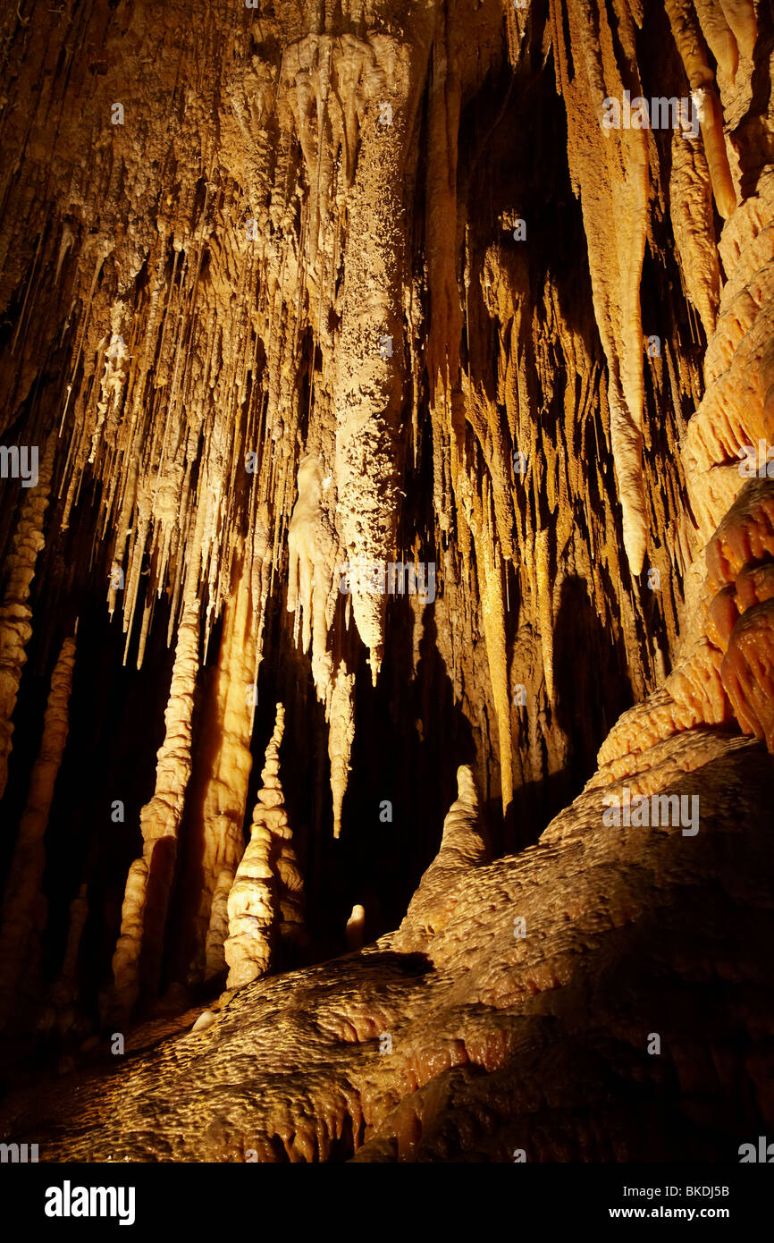 Stalattiti, Newdegate Grotta, Hastings Grotte, Sud Tasmania, Australia Foto Stock