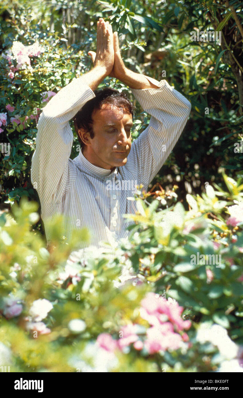 Il partito -1968 Peter Sellers Foto Stock