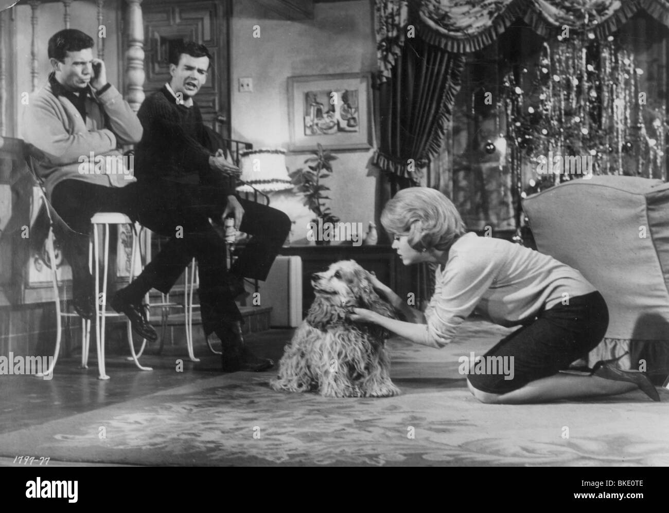 Periodo di regolazione (1962) Jane Fonda POFA 006FOH Foto Stock