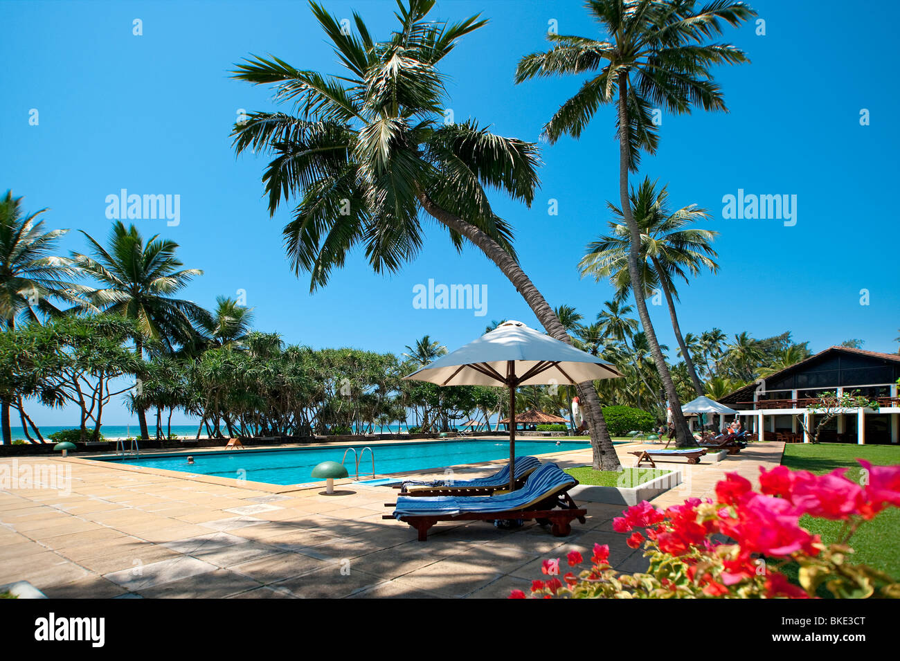 Hotel Serendib Piscina con vista del mare, Bentota, Sri Lanka Foto Stock