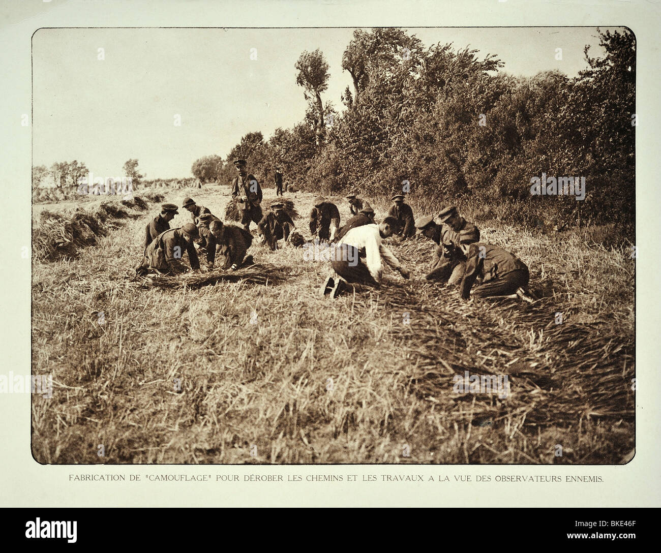 I soldati della Prima guerra mondiale un intreccio di camuffamento schermate nel campo vicino al campo di battaglia in Fiandra occidentale durante la Prima Guerra Mondiale uno, Belgio Foto Stock