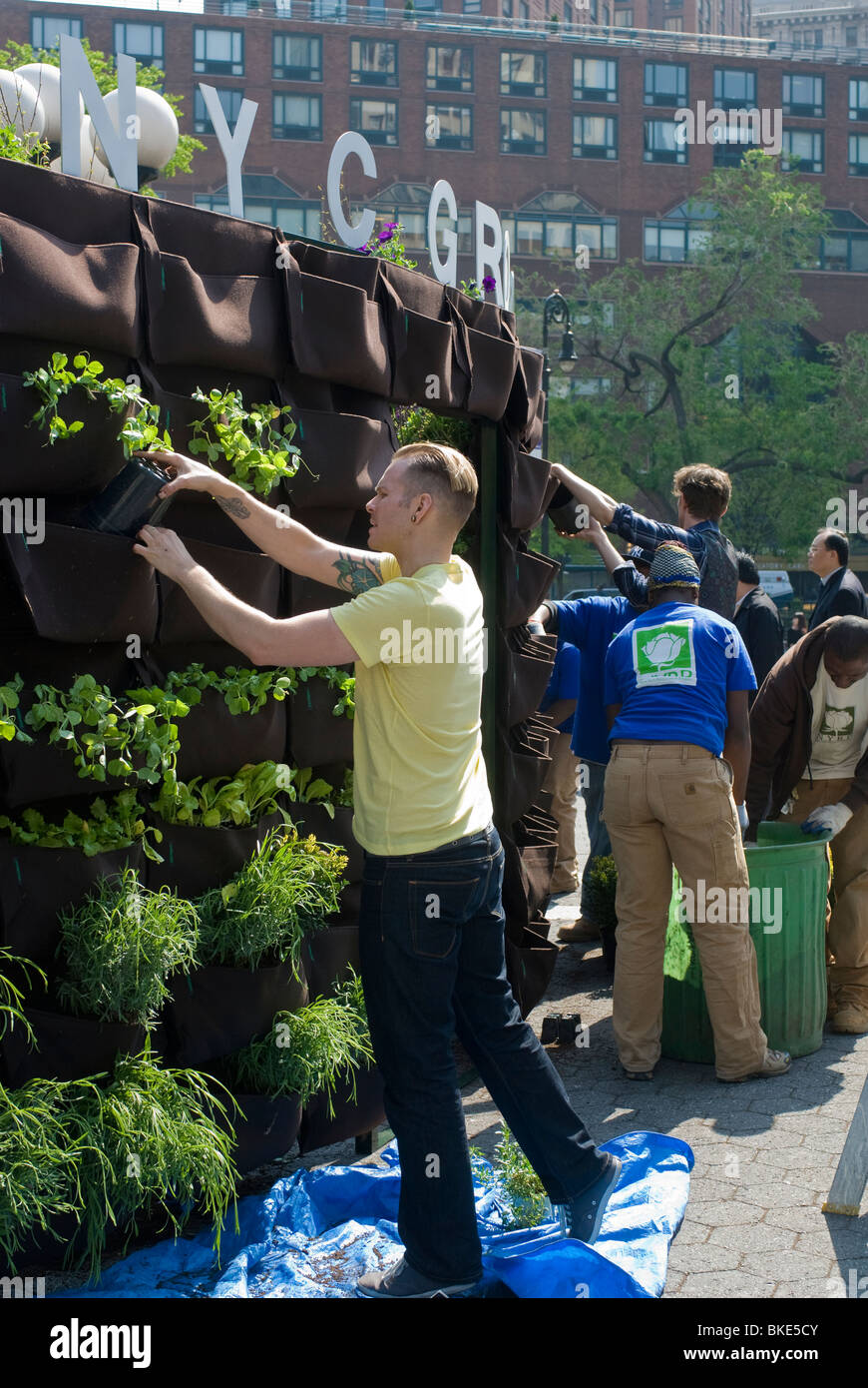 I volontari e i lavoratori lavorano su un "vivere verde" a parete in Union Square Park a New York il giorno di terra Foto Stock