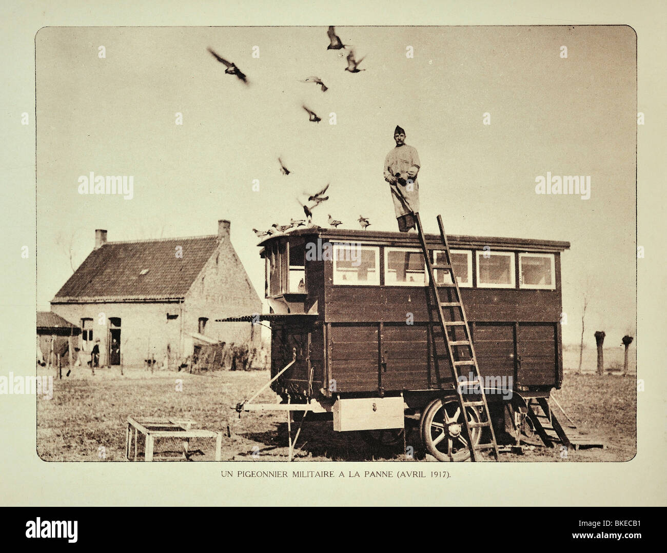 WWI soldier permanente sulla colombaia fuoriuscita di piccioni viaggiatori a De Panne in Fiandra occidentale durante la Prima Guerra Mondiale uno, Belgio Foto Stock