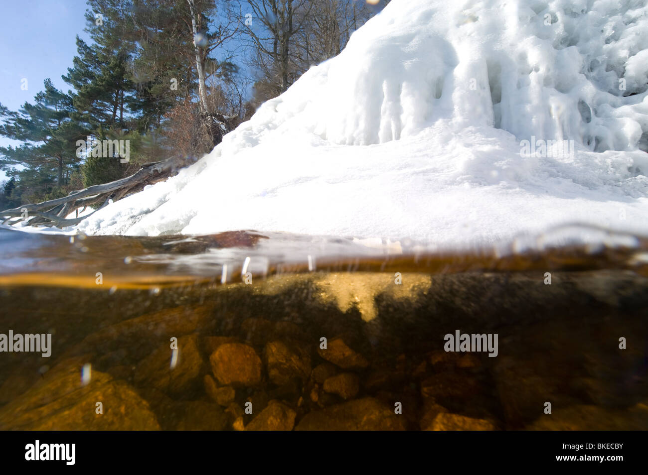 Dettagli inverno dalla Svezia Foto Stock