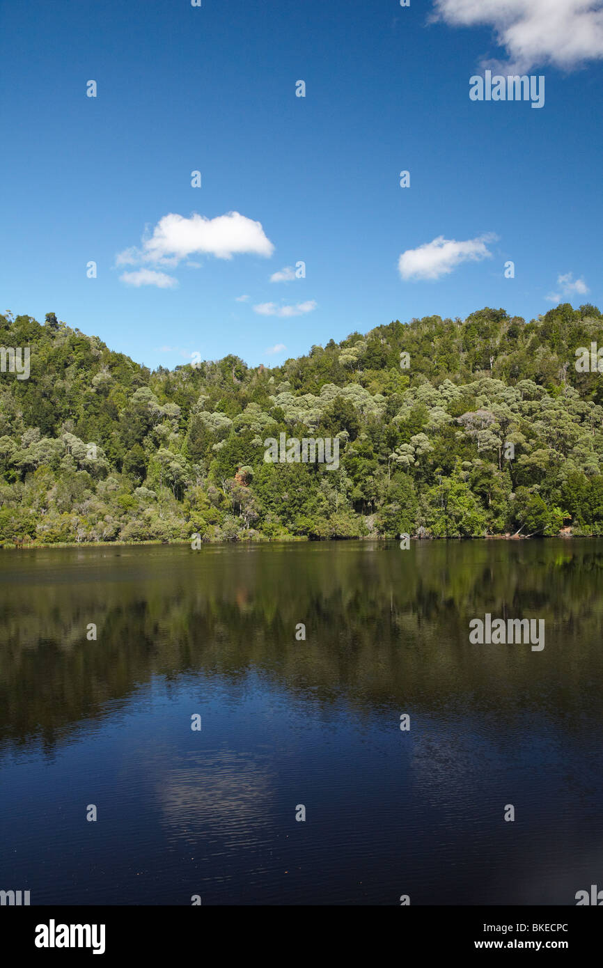 Forest riflessa nel fiume Gordon, Franklin-Gordon Wild Rivers National Park, Wilderness Area del Patrimonio Mondiale, Tasmania Foto Stock