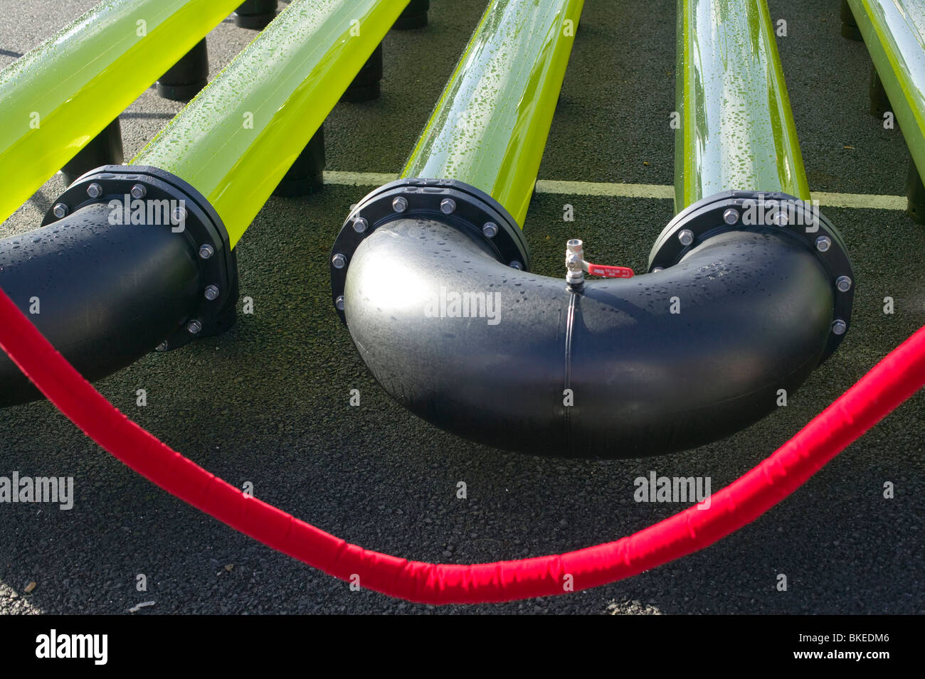 Un AlgaeLink alghe sistema di coltivazione che viene raccolto per fare etanolo e bio-diesel Foto Stock