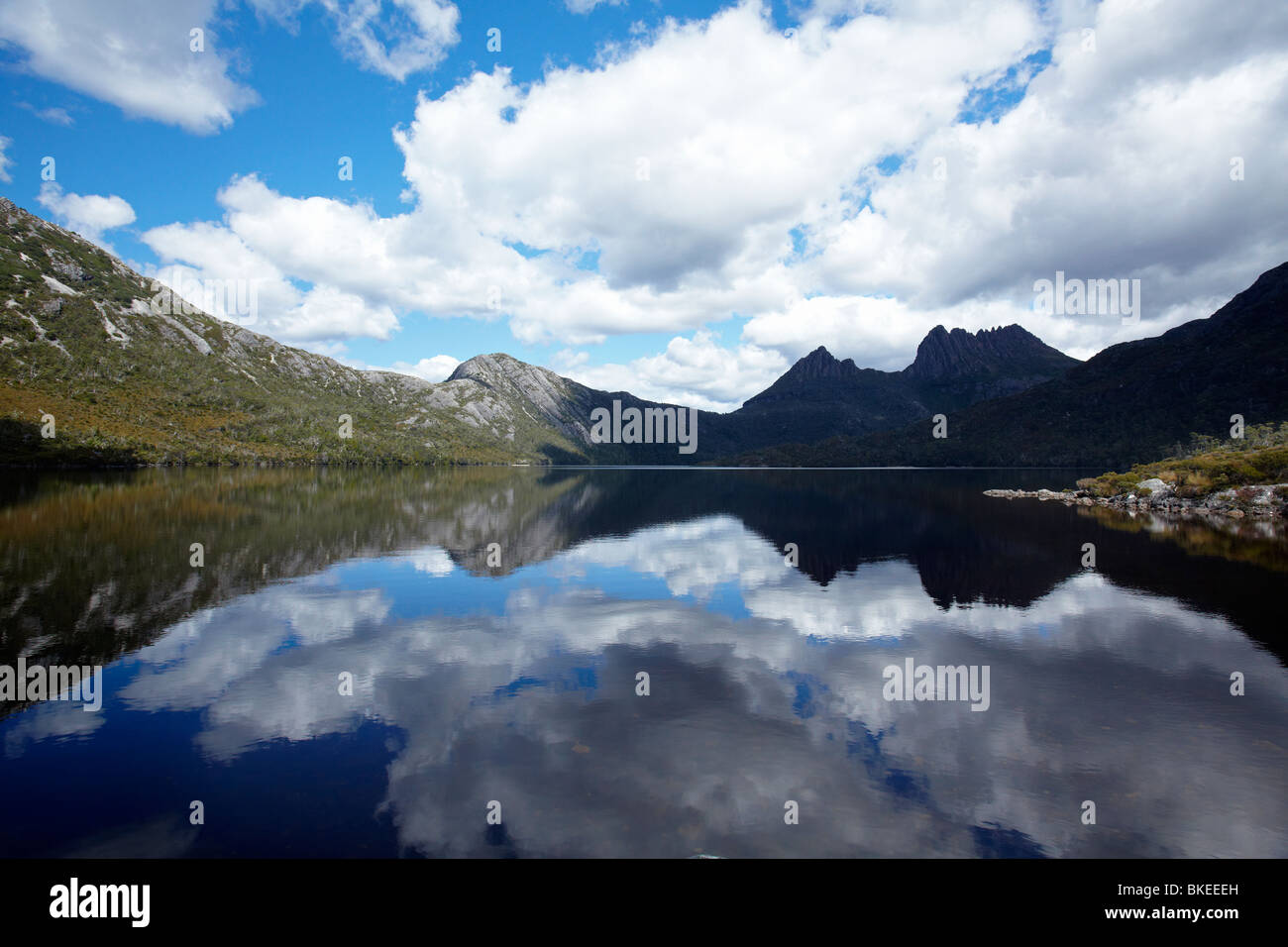 Cradle Mountain riflessa nel lago di colomba, culla della Montagna - Lago St Clair National Park, Western Tasmania, Australia Foto Stock