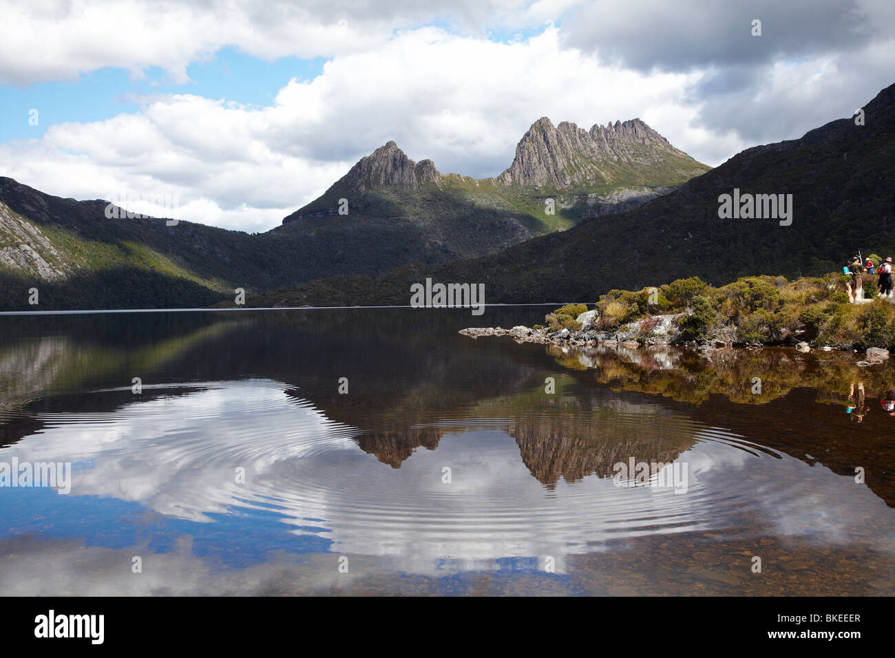 Cradle Mountain riflessa nel lago di colomba, culla della Montagna - Lago St Clair National Park, Western Tasmania, Australia Foto Stock