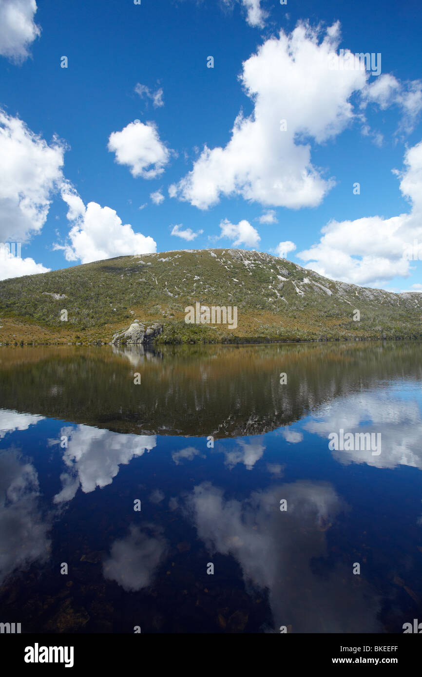 La riflessione nel lago di colomba, culla della Montagna - Lago St Clair National Park, Western Tasmania, Australia Foto Stock