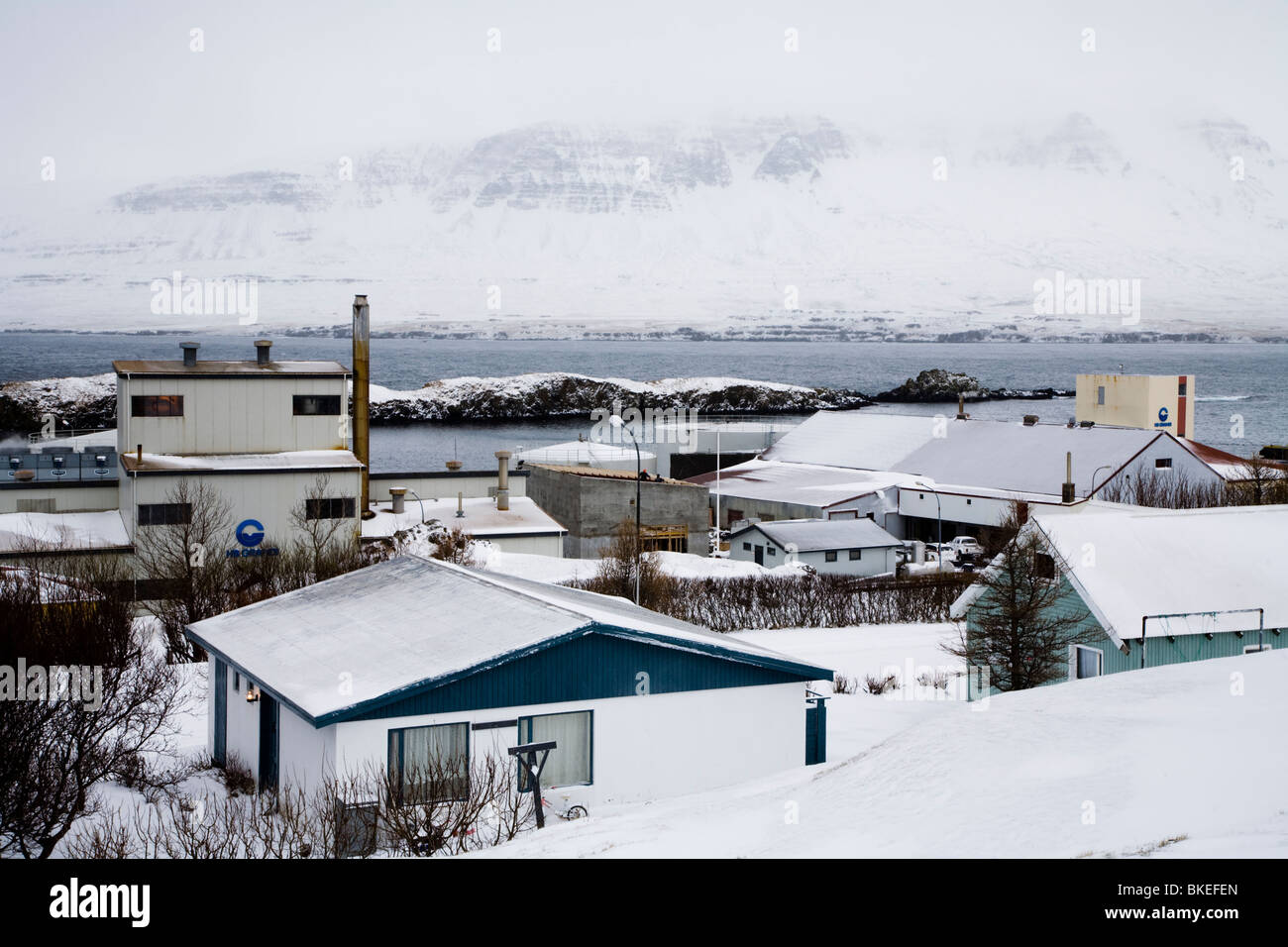 Vista sulla città Vopnafjordur e fabbrica di pesca durante il periodo invernale, Est dell'Islanda. Foto Stock