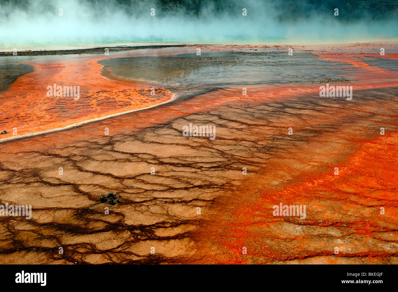 Yellowstone diventa arancione Foto Stock