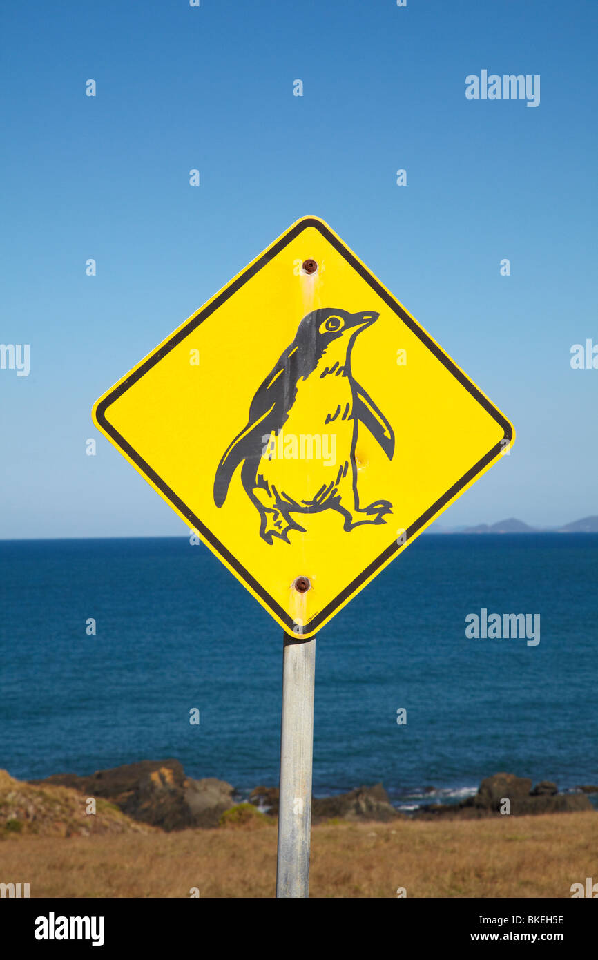 Penquin cartello segnaletico, Stanley, Northwest Tasmania, Australia Foto Stock