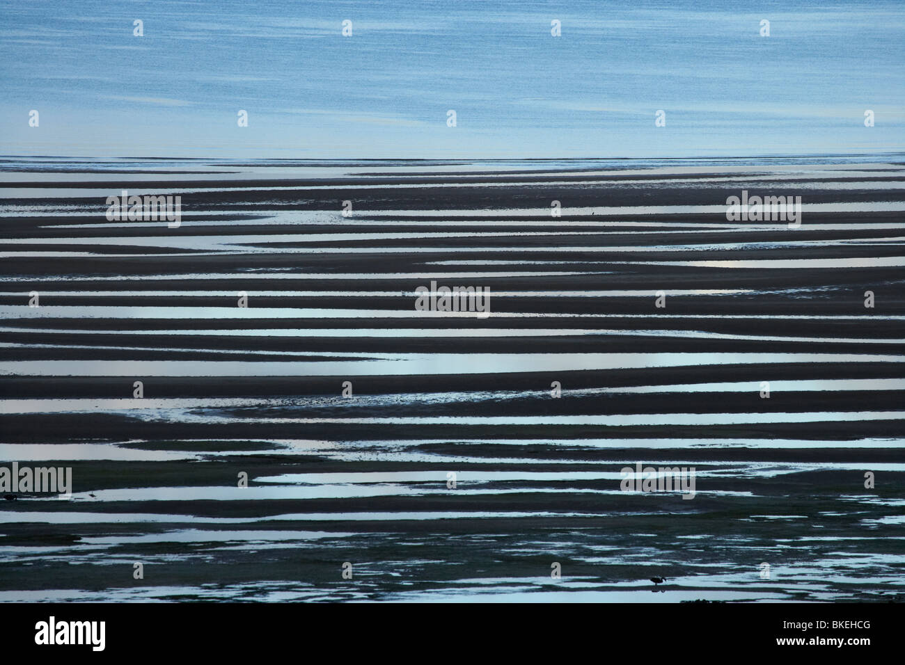 Pozzanghere sul tidal flats con la bassa marea, Perkins Bay, vicino a Stanley, Northwest Tasmania, Australia Foto Stock