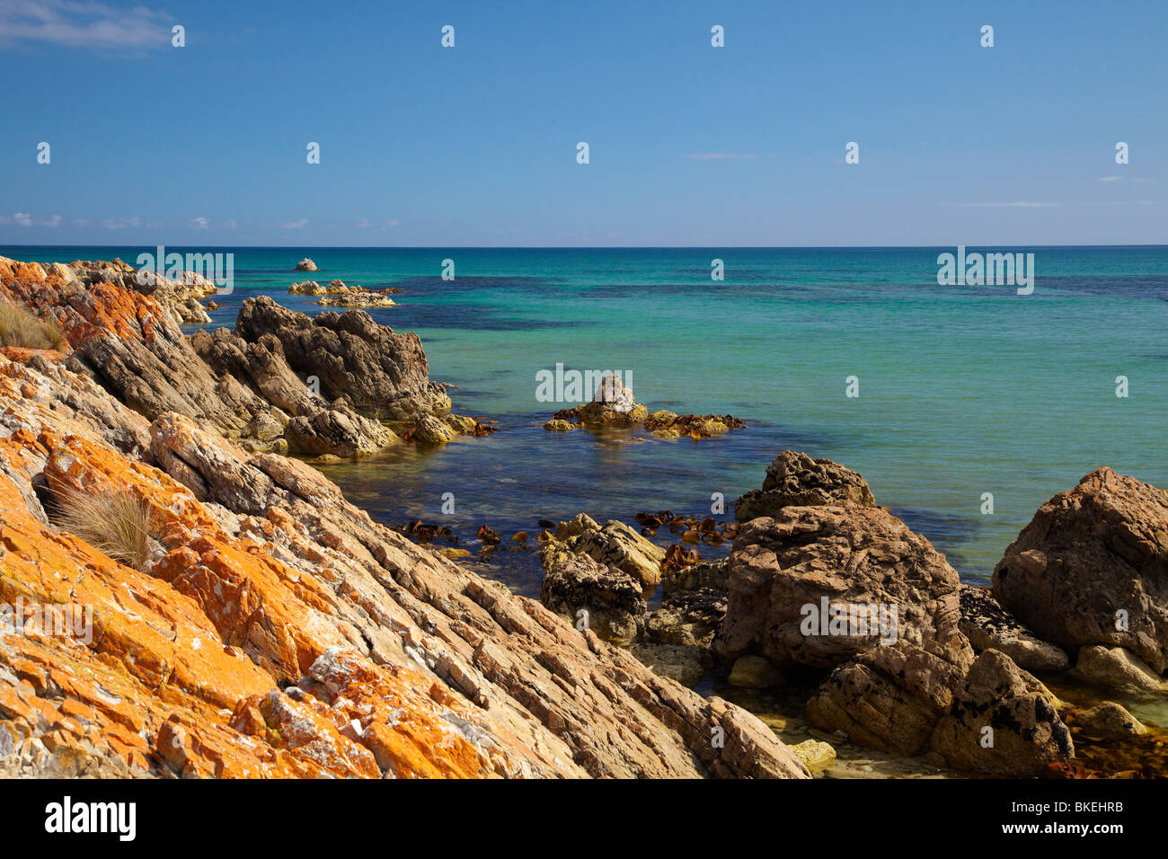 Lichene arancione sulle rocce, Green Point, Ann Bay, Marrawah, North Western Tasmania, Australia Foto Stock