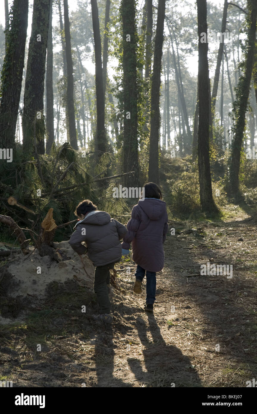 Due giovani bambini (un ragazzo e una ragazza 7-8 anni) passeggiate in Anglet Chiberta foresta. Foto Stock