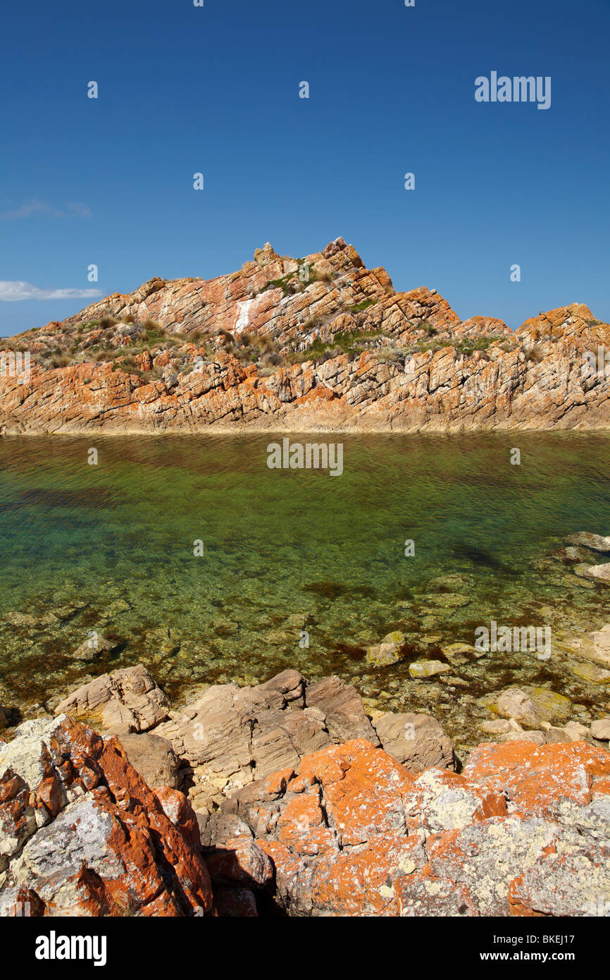 Lichene arancione sulle rocce, West Point, North Western Tasmania, Australia Foto Stock