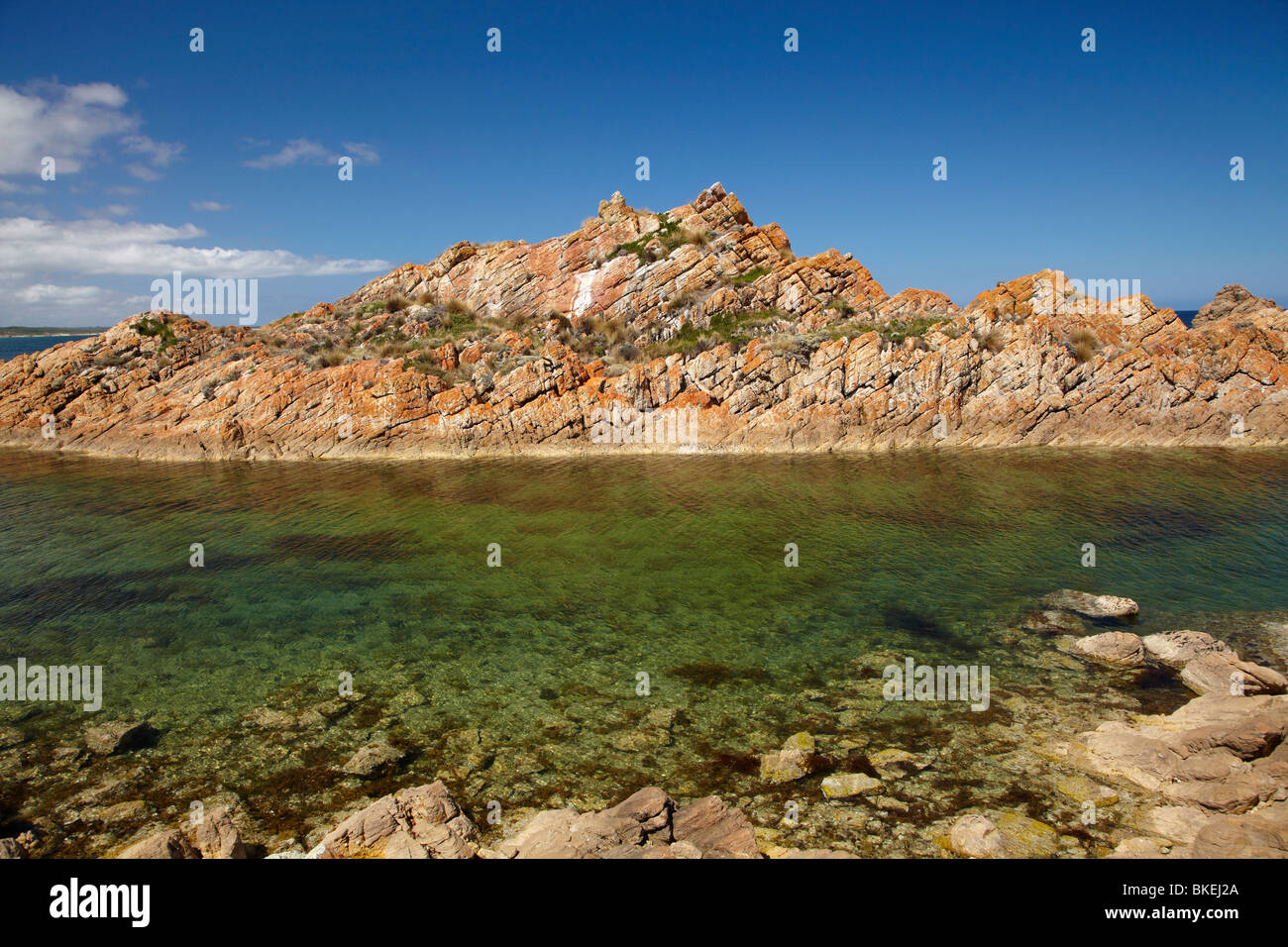 Lichene arancione sulle rocce, West Point, North Western Tasmania, Australia Foto Stock