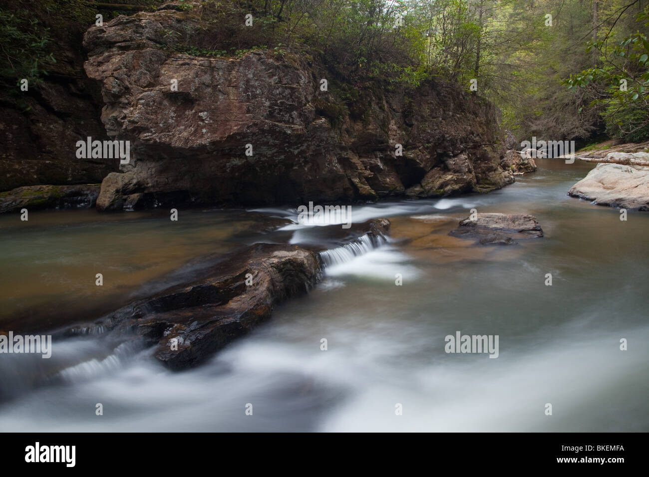Chauga Fiume Fiume Chauga Scenic Area, Andrews Pickens Ranger District, Sumter National Forest, Carolina del Sud Foto Stock