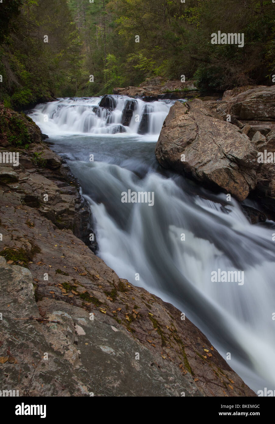 Fiume Chauga si restringe, Fiume Chauga Scenic Area, Andrews Pickens Ranger District, Sumter National Forest, Carolina del Sud Foto Stock