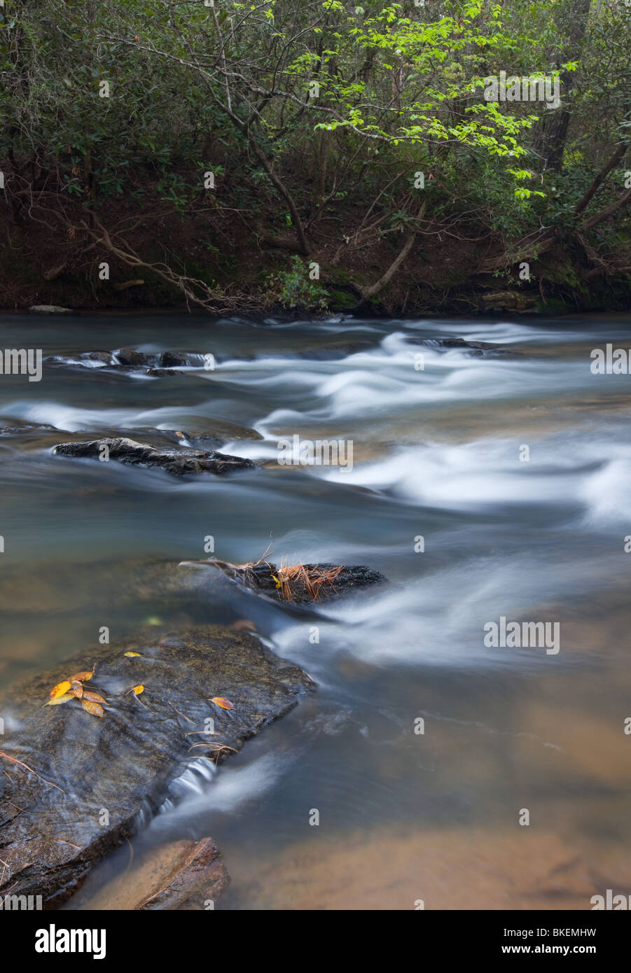 Chauga Fiume Fiume Chauga Scenic Area, Andrews Pickens Ranger District, Sumter National Forest, Carolina del Sud Foto Stock