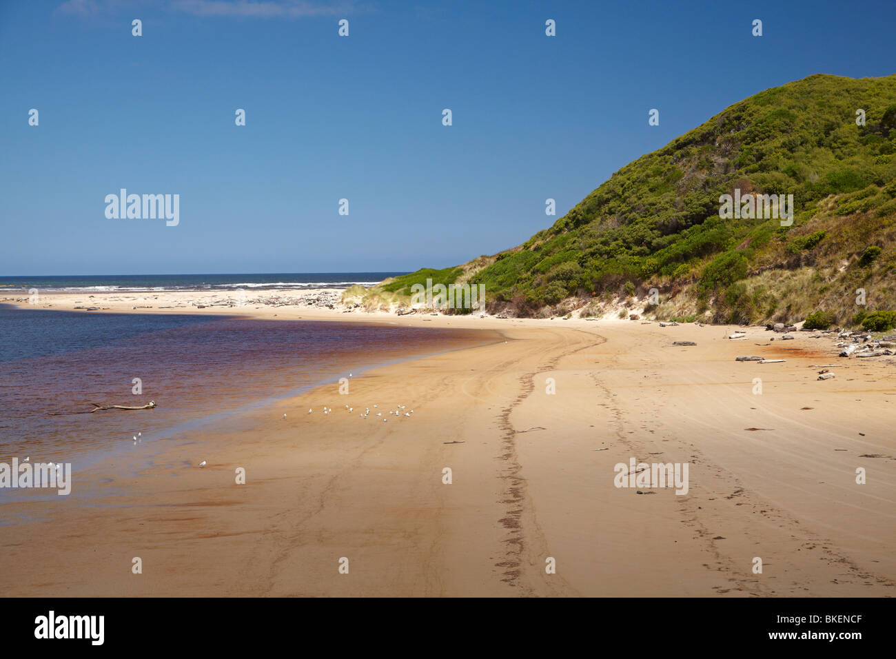 Spiaggia a bocca di Arthur River North Western Tasmania, Australia Foto Stock