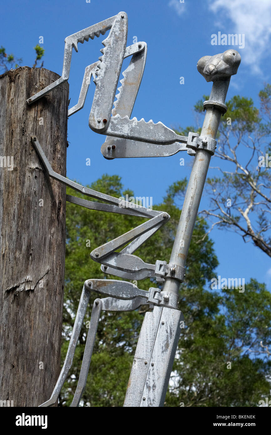 Mantide Religiosa scultura di Greg Duncan, Foresta Tarkine avventure, Bass Highway, North Western Tasmania, Australia Foto Stock