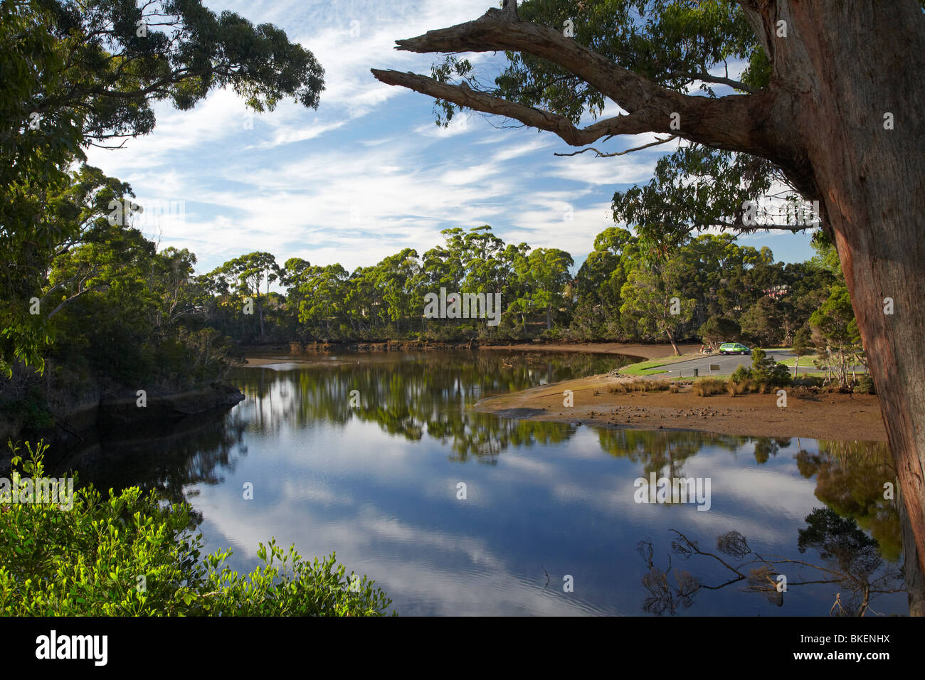 Riflessi nel fiume Inglis, Wynyard, North Western Tasmania, Australia Foto Stock