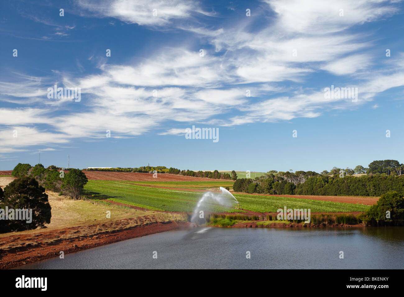 Irrigazione su colture, i terreni agricoli e il serbatoio di irrigazione, Tabella Cape, vicino a Wynyard, North Western Tasmania, Australia Foto Stock