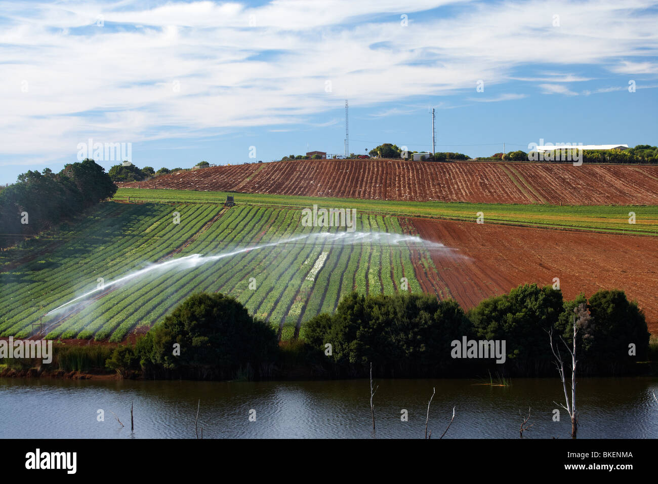 Irrigazione su colture, i terreni agricoli e il serbatoio di irrigazione, Tabella Cape, vicino a Wynyard, North Western Tasmania, Australia Foto Stock