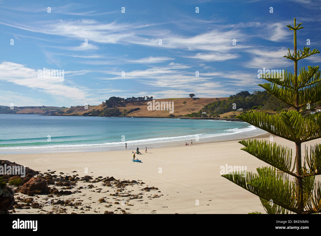 Boat Harbour Beach, North Western Tasmania, Australia Foto Stock
