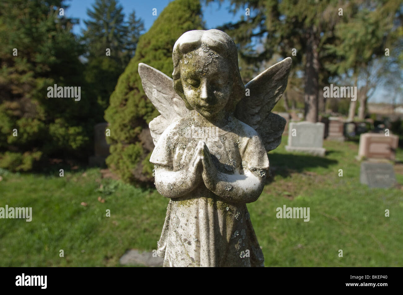 Una statua di un bambino angelico è congelata nel tempo con la sua mani giunte in preghiera silenziosa. Foto Stock