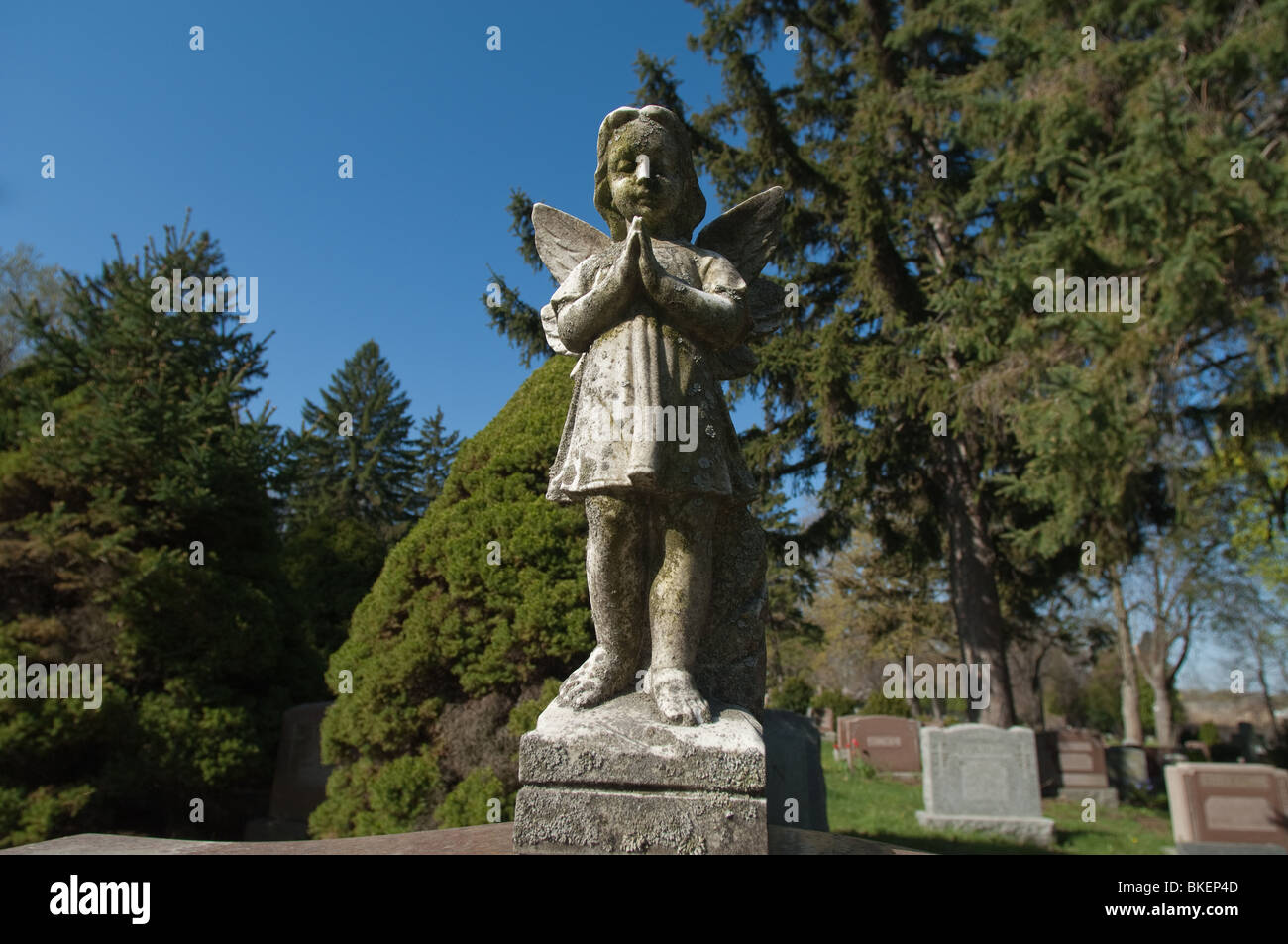 Una statua di un bambino angelico è congelata nel tempo con la sua mani giunte in preghiera silenziosa. Foto Stock