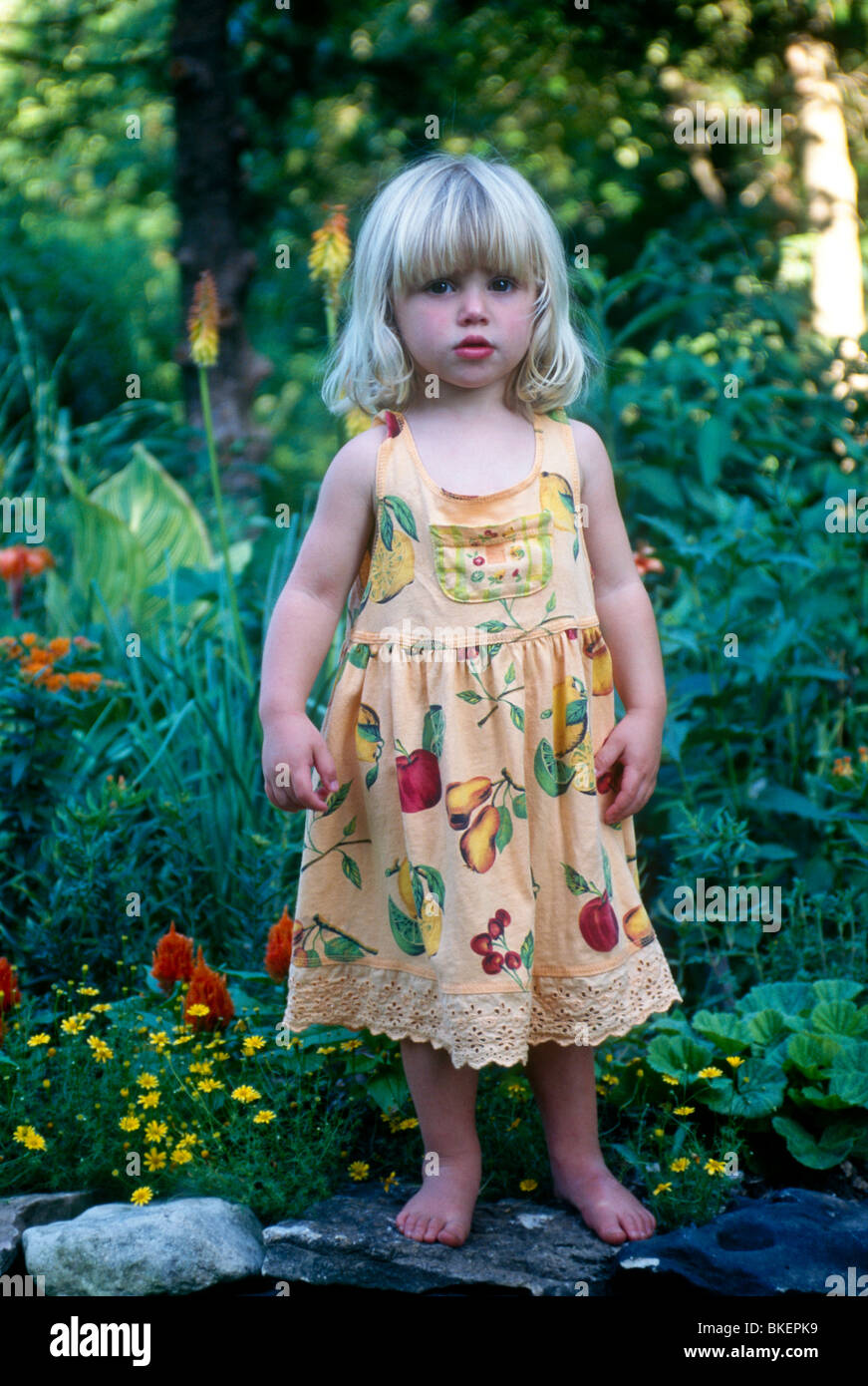 La bionda bambina da 3 a 4 anni in piedi nel giardino sulla parete di  roccia su una mattina d'estate in sun abito, STATI UNITI D'AMERICA Foto  stock - Alamy