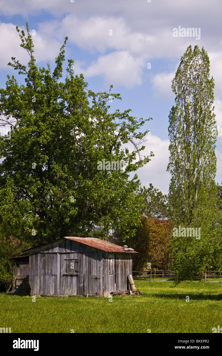Un vecchio fatiscente tugurio circondato da alberi all'Mattaponi Prenotazione situato lungo il fiume Pamunkey in Virginia. Foto Stock
