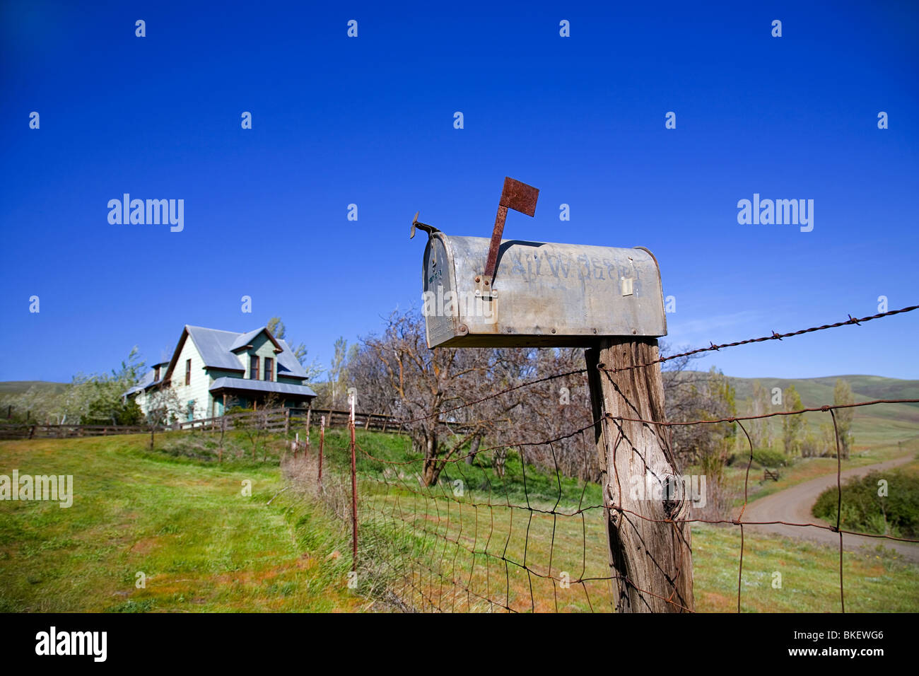 Un rurale casella postale a distanza ranch di bestiame Foto Stock