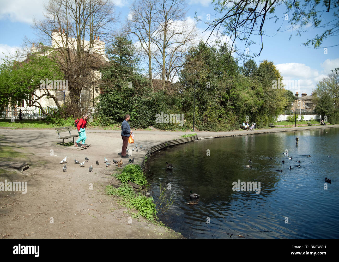 Una coppia di mezza età dar da mangiare alle anatre, Chislehurst stagni e comune, a sud-est di Londra, Regno Unito Foto Stock