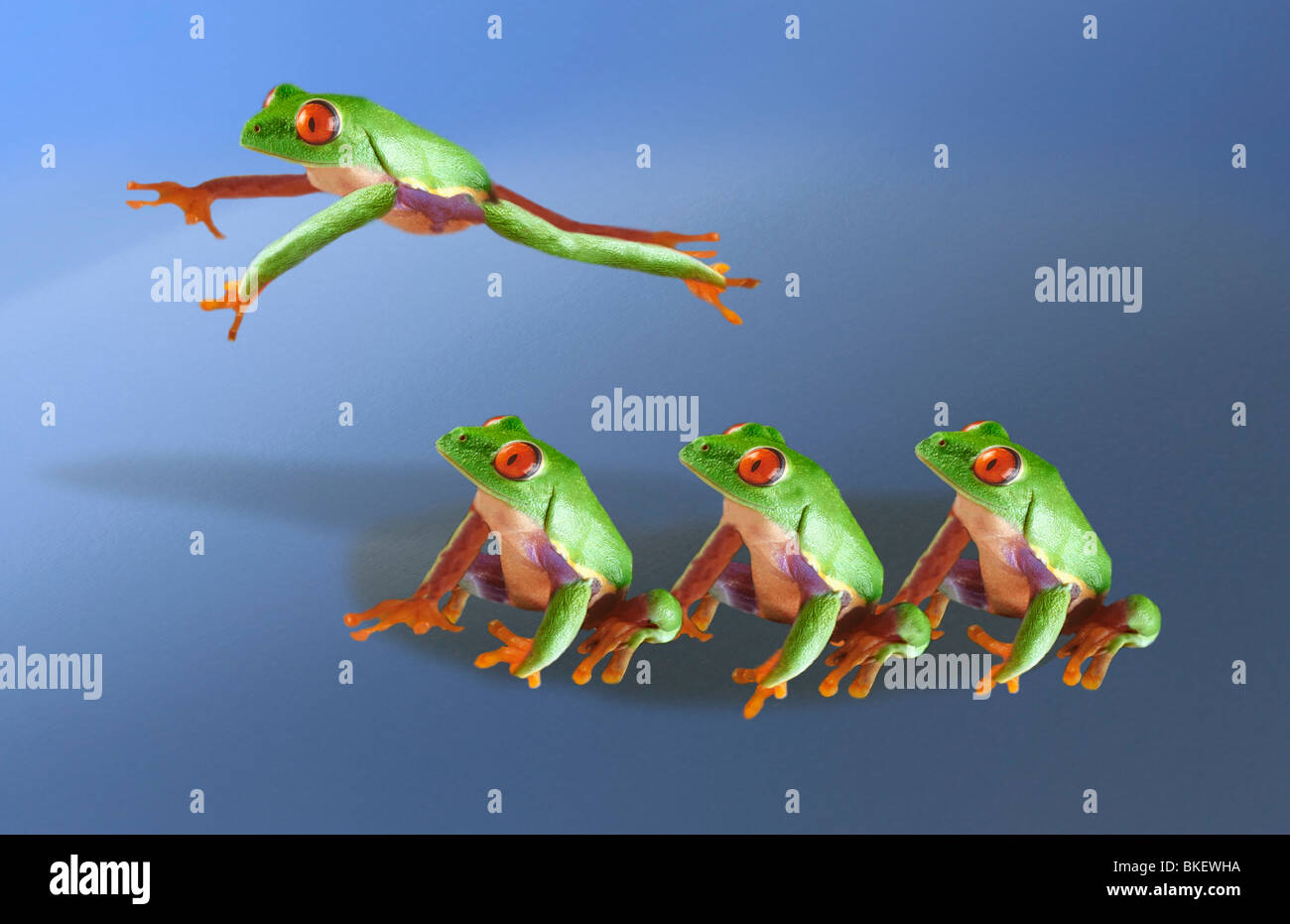Frog gioca cavallina Foto Stock