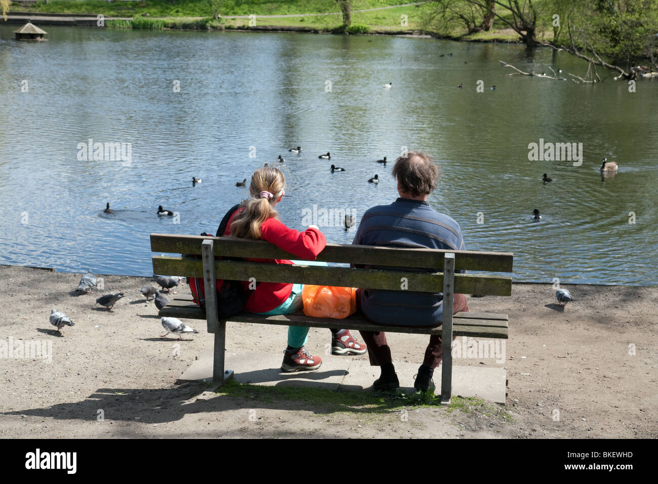 Una coppia di mezza età seduta su una panchina dar da mangiare alle anatre, Chislehurst stagni, Kent REGNO UNITO Foto Stock